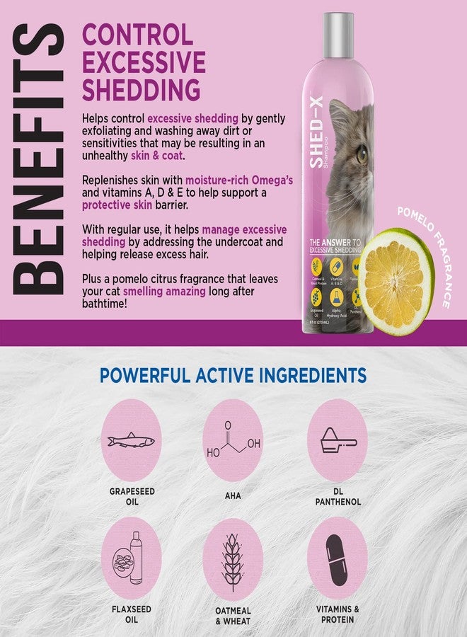 SynergyLabs Shed-X Shed Control Shampoo for Cats, 8 oz – Reduce Shedding – Shedding Shampoo Infuses Skin and Coat with Vitamins and Antioxidants to Clean, Release Excess Hair and Exfoliate - Image 2